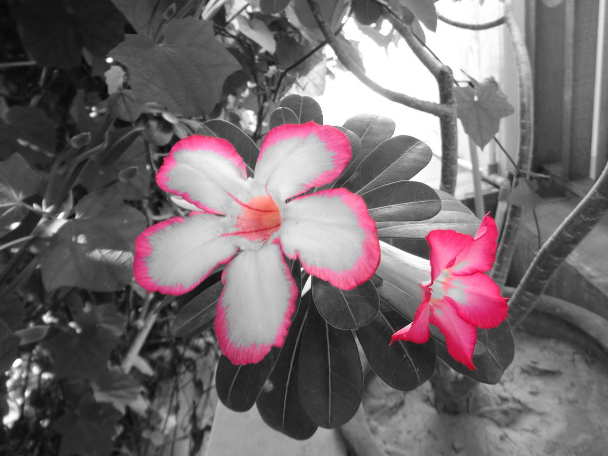 Yulia 1 Sanur Exterior foto